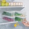 Cilantro Green Onion Storage Box Airtight Refrigerator Container BPAFree FreshKeeping Organizer 1