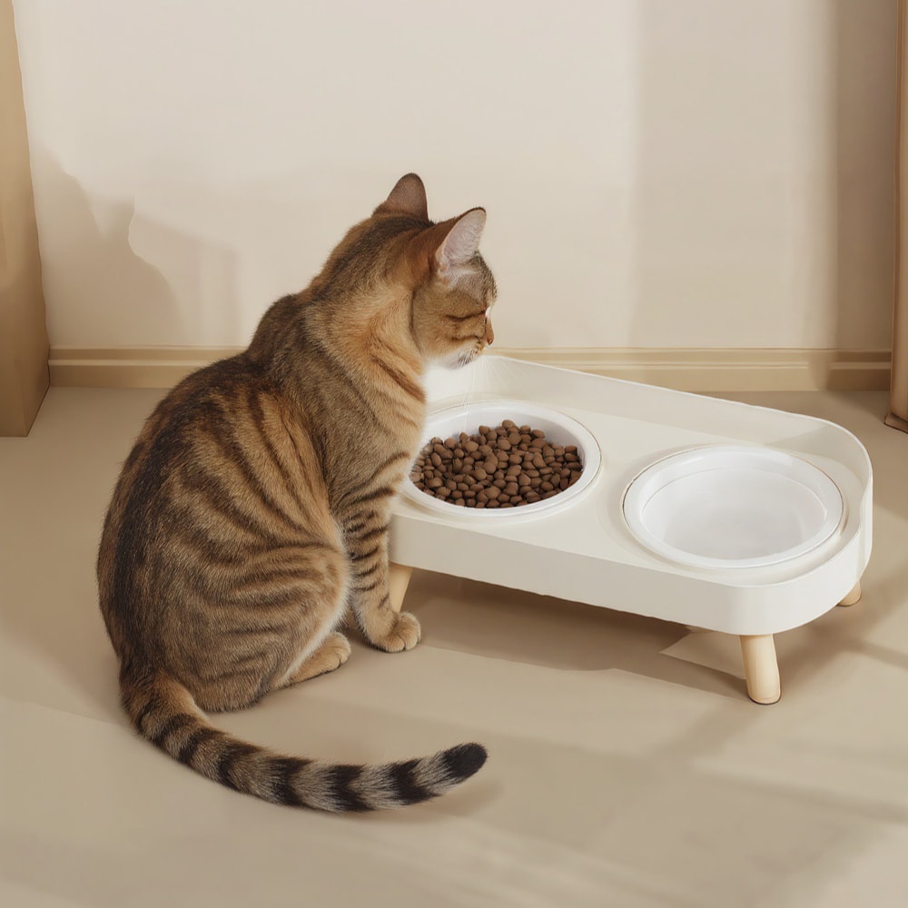 Double Pet Bowl No Spill Elevated Feeder With Stand Anti Slip Neck Support For Cats And Dogs 2