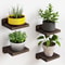 Mini Floating Shelves For Wall Display Ledges With Dual Installation Options 7
