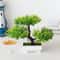 Artificial Bonsai Tree In Pot Small Zen Garden Fake Plant For Home Or Office Decor 0
