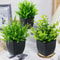 Artificial Green Plants For Home Office Decoration Perfect For Weddings Parties 3