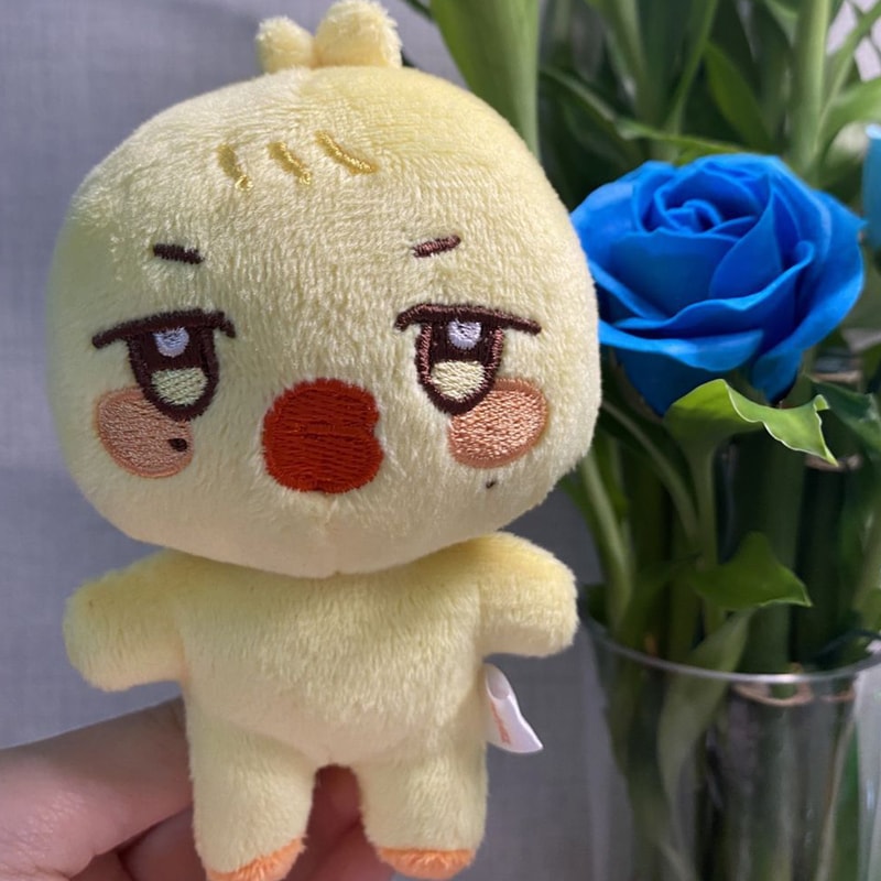 Kpop Plushies Stuffed Animal Toy Soft Cute Room Decor 4