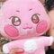 Kpop Plushies Stuffed Animal Toy Soft Cute Room Decor 3