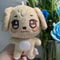 Kpop Plushies Stuffed Animal Toy Soft Cute Room Decor 6
