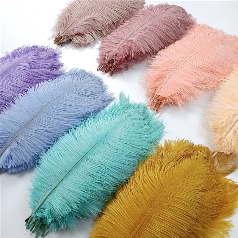 Colored Ostrich Feathers For Crafts Wedding Event Decoration Handicraft Accessories For Table Cent 3