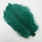 Colored Ostrich Feathers For Crafts Wedding Event Decoration Handicraft Accessories For Table Cent 7