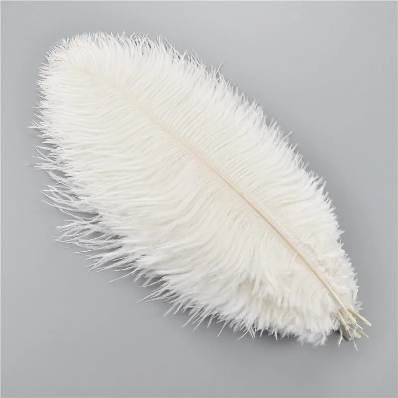 Colored Ostrich Feathers For Crafts Wedding Event Decoration Handicraft Accessories For Table Cent 11