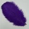 Colored Ostrich Feathers For Crafts Wedding Event Decoration Handicraft Accessories For Table Cent 14