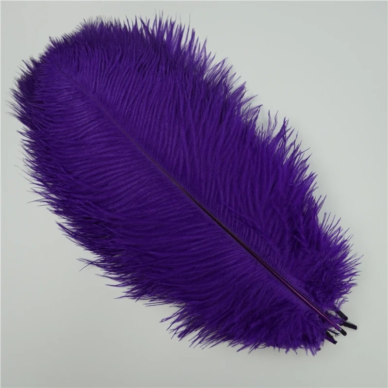 Colored Ostrich Feathers For Crafts Wedding Event Decoration Handicraft Accessories For Table Cent 14