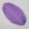 Colored Ostrich Feathers For Crafts Wedding Event Decoration Handicraft Accessories For Table Cent 16