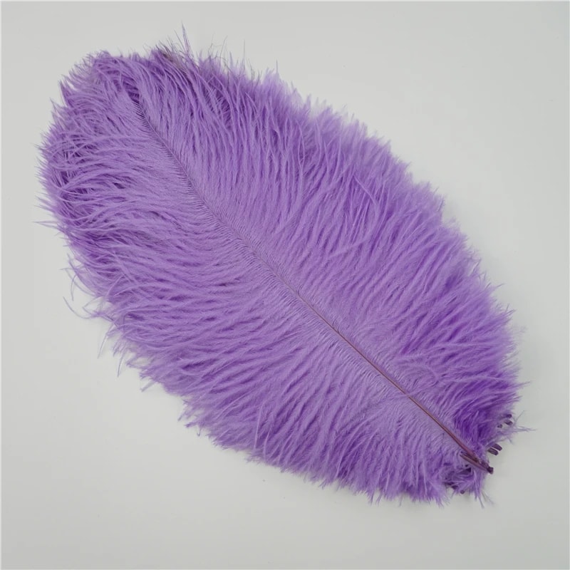 Colored Ostrich Feathers For Crafts Wedding Event Decoration Handicraft Accessories For Table Cent 16