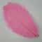 Colored Ostrich Feathers For Crafts Wedding Event Decoration Handicraft Accessories For Table Cent 17