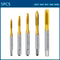 HSS Titanium Coated Screw Tap Drill Bit Metric Straight Flute Thread Tap Hand Tools 6