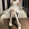 Elegant Floral Lolita Lace Stockings Vintage Hollow Lace Mesh Pantyhose For Retro Fashion Styling 2