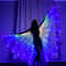 LED Belly Dance Wings With Shining LED Lights Halloween Costume Prop For Adults Kids 2