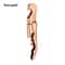 Stainless Steel Wine Opener Professional Double Hinge Corkscrew For Waiters Bartenders And Restaura 8
