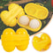 Portable Egg Holder Case, Grid Egg Storage Box for Camping Travel Kitchen Organizer