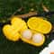 Portable Egg Holder Case, Grid Egg Storage Box for Camping Travel Kitchen Organizer