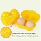 Portable Egg Holder Case, Grid Egg Storage Box for Camping Travel Kitchen Organizer