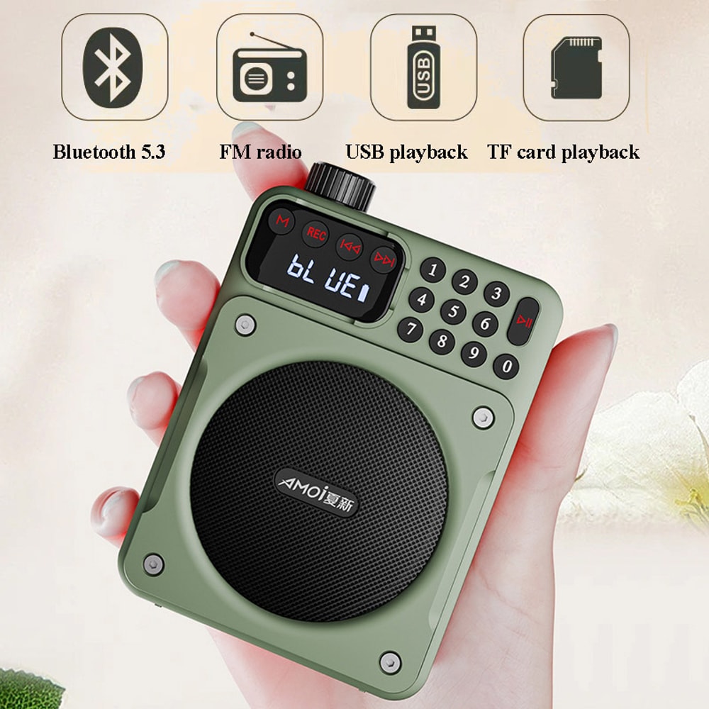 Portable Bluetooth FM Radio Speaker With HD Display USB TF Voice Amplifier 1