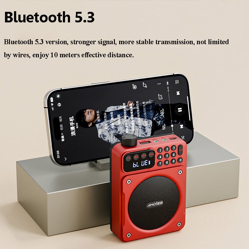 Portable Bluetooth FM Radio Speaker With HD Display USB TF Voice Amplifier 2