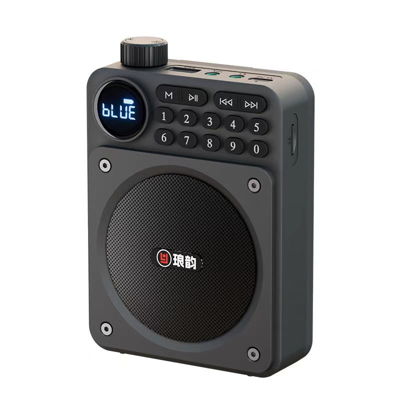 Portable Bluetooth FM Radio Speaker With HD Display USB TF Voice Amplifier 8
