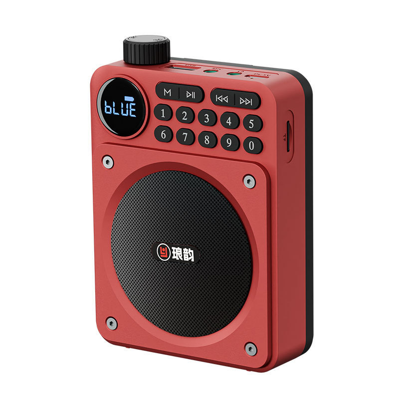 Portable Bluetooth FM Radio Speaker With HD Display USB TF Voice Amplifier 7
