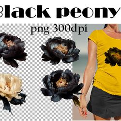 Black peony. PNG