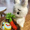 Mini bunny plushie crochet pattern