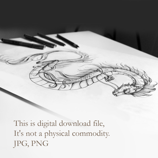 dragon-tattoo-designs-dragon-tattoo-ideas-dragon-tattoo-sketch-8.jpg