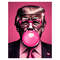 Trump-Pink-Bubblegum-Sarcastic-Trump-PNG-1507241072.png
