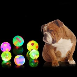 interactive led dog ball toy glow bounce durable rubber fetch ball for active pets