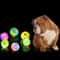 Interactive LED Dog Ball Toy Glow Bounce Durable Rubber Fetch Ball for Active Pets