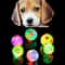 Interactive LED Dog Ball Toy Glow Bounce Durable Rubber Fetch Ball for Active Pets
