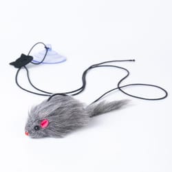 interactive hanging cat toy with suction cup and adjustable elastic teaser wand