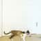 Interactive Hanging Cat Toy With Suction Cup And Adjustable Elastic Teaser Wand 5