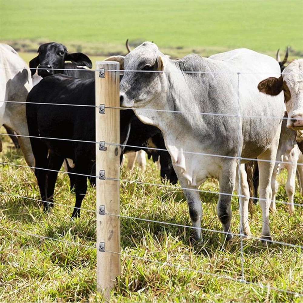 Reusable Fence Staples Kit Rustproof Metal Fasteners For Wire Fencing 4