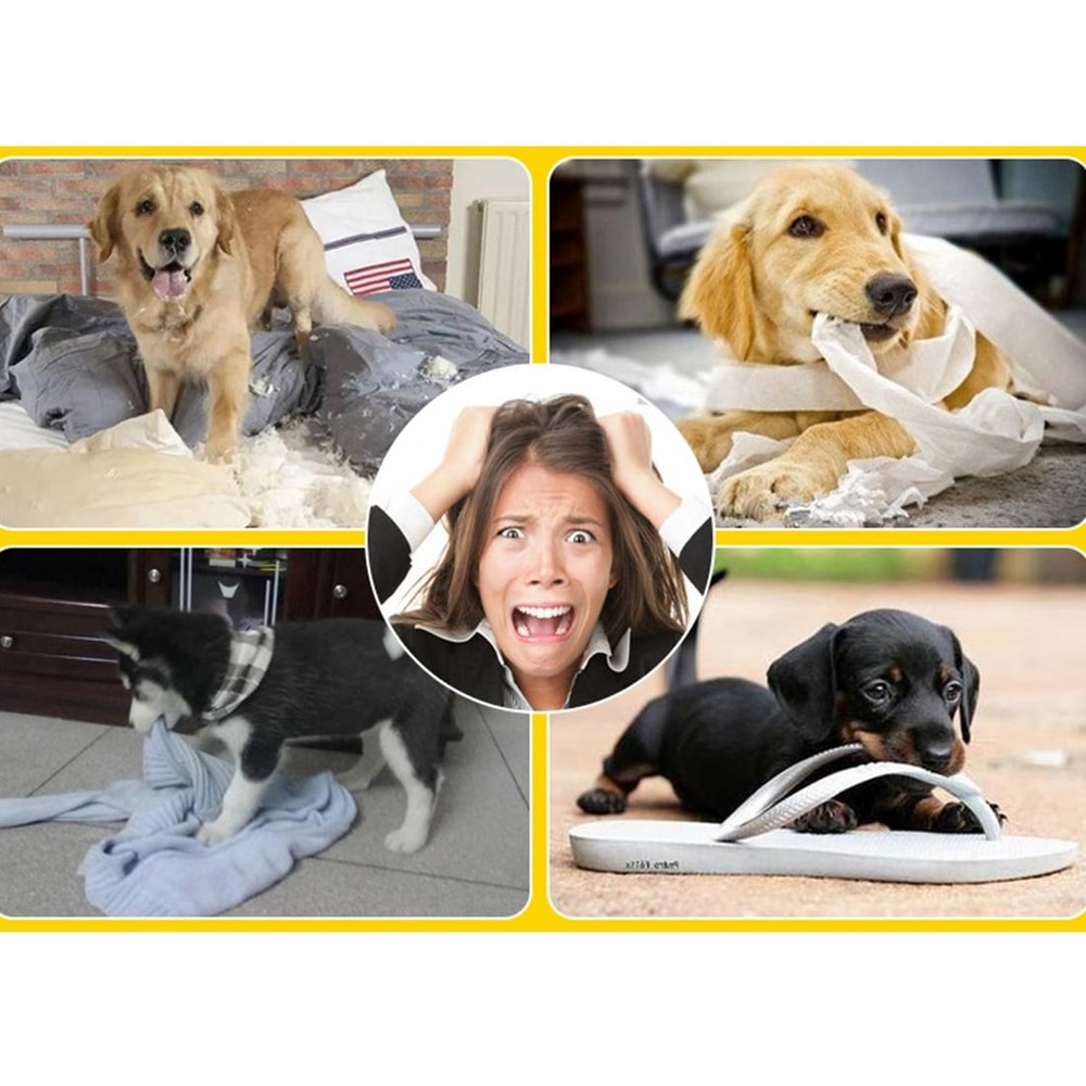 Interactive Dog Chew Ball For Teeth Cleaning Treat Dispensing Toy 6