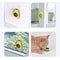 High-Converting Catnip Dental Toy Ball Avocado Cat Teething Toy
