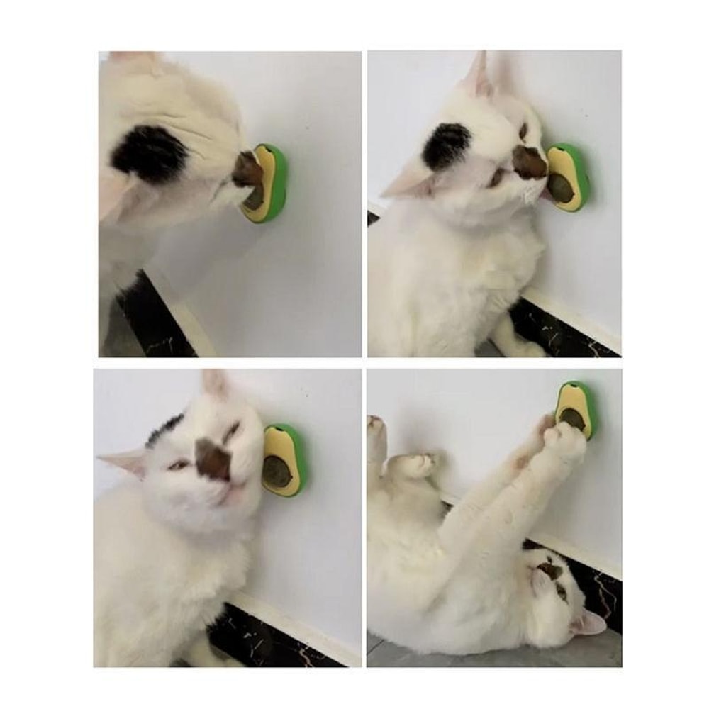 High-Converting Catnip Dental Toy Ball Avocado Cat Teething Toy