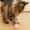 Smart Interactive Cat Ball Toy With LED Light And Motion Sensor For Indoor Pets 2