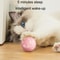 Smart Interactive Cat Ball Toy With LED Light And Motion Sensor For Indoor Pets 6