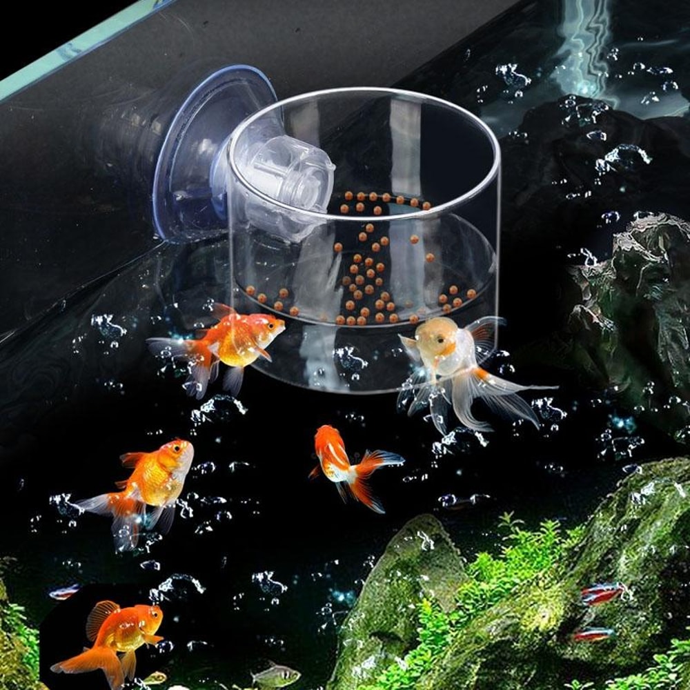 Acrylic Fish Tank Feeder Ring Floating Aquarium Feeding Ring With Suction Cup For Clean Feeding 0