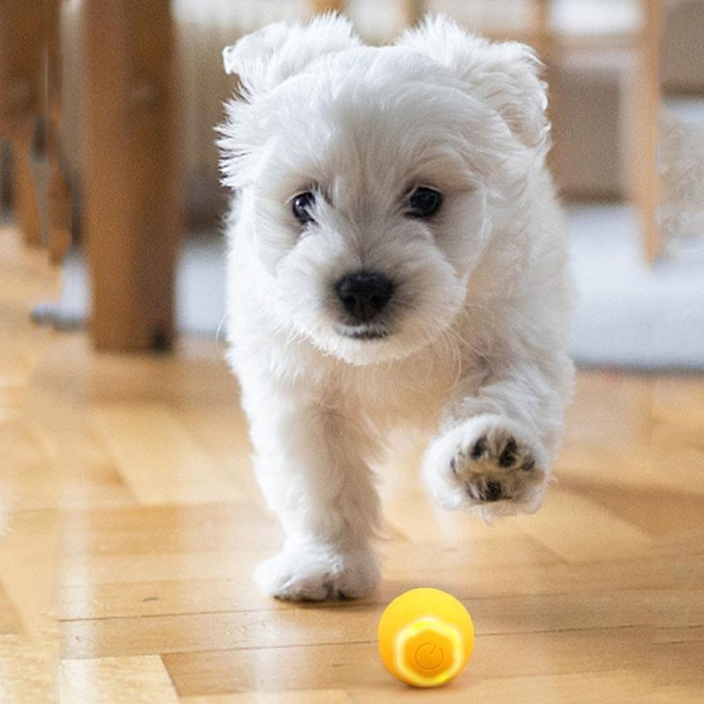 Smart Interactive Cat Ball Toy Automatic Rolling LED Pet Play Ball For Cats And Small Dogs 8