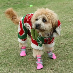 waterproof anti-slip dog boots for small dogs breathable pet shoes with reflective safety