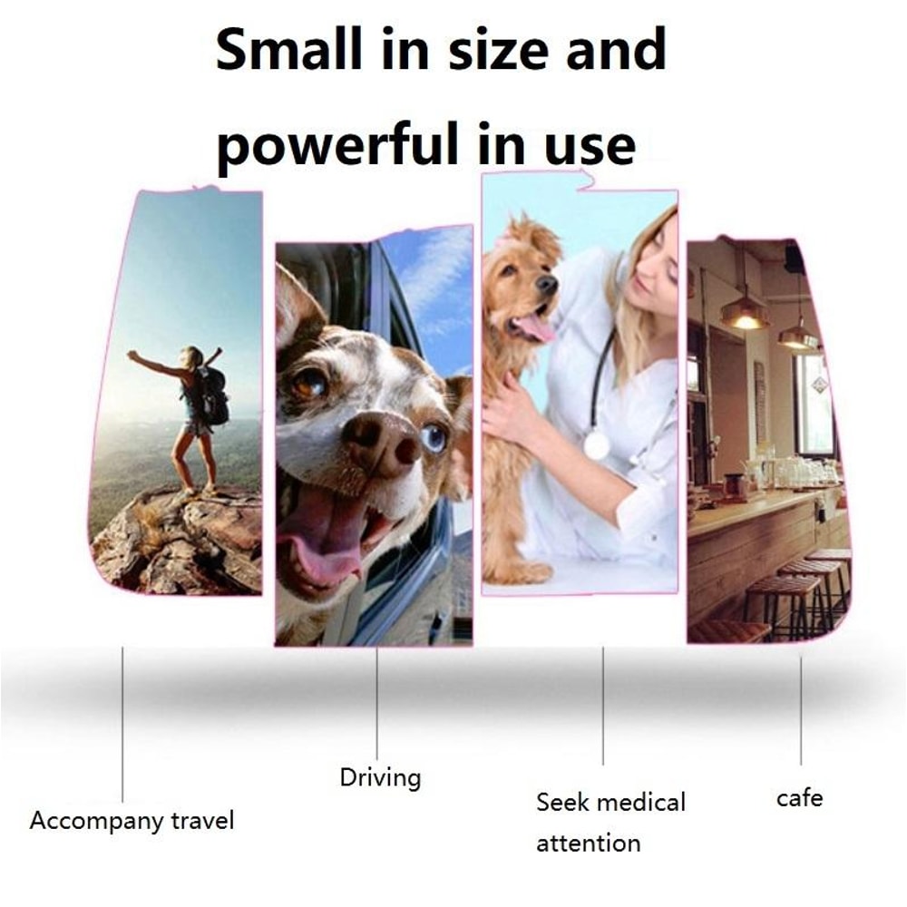 Portable Pet Backpack Carrier Breathable Folding Dog Travel Bag 1