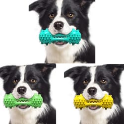 interactive dog chew toy dental cleaning bone for aggressive chewers with squeaker