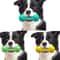 Interactive Dog Chew Toy Dental Cleaning Bone For Aggressive Chewers With Squeaker 0