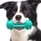 Interactive Dog Chew Toy Dental Cleaning Bone For Aggressive Chewers With Squeaker 5