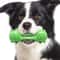 Interactive Dog Chew Toy Dental Cleaning Bone For Aggressive Chewers With Squeaker 7